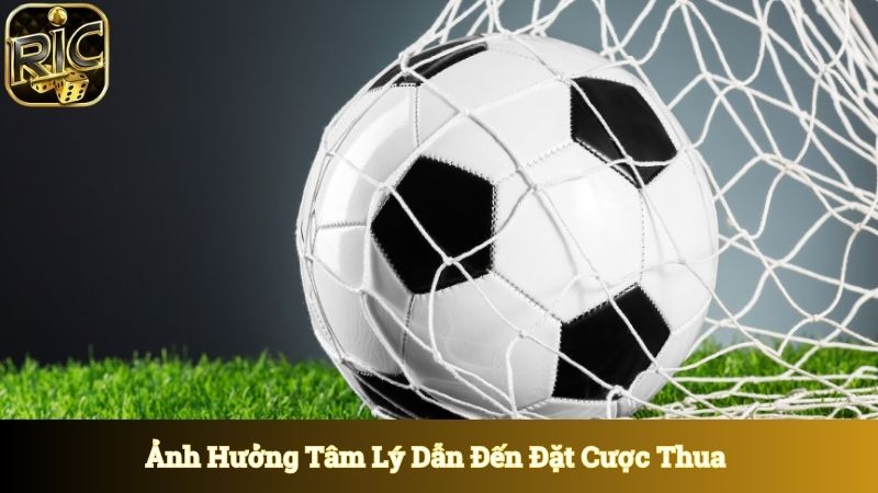 Ảnh hưởng tâm lý dẫn đến đặt cược bị thua 