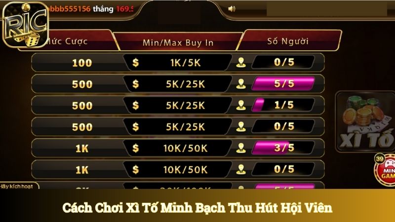 Cách chơi xì tố minh bạch thu hút hàng triệu hội viên