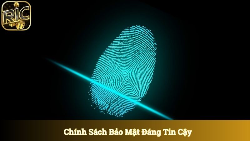 Chính sách bảo mật đáng tin cậy tại cổng game Ricwin
