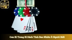 Con Xì Trong Xì Dách Tính Bao Nhiêu