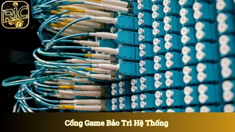 Cổng game bảo trì ảnh hưởng đến thao tác đăng ký