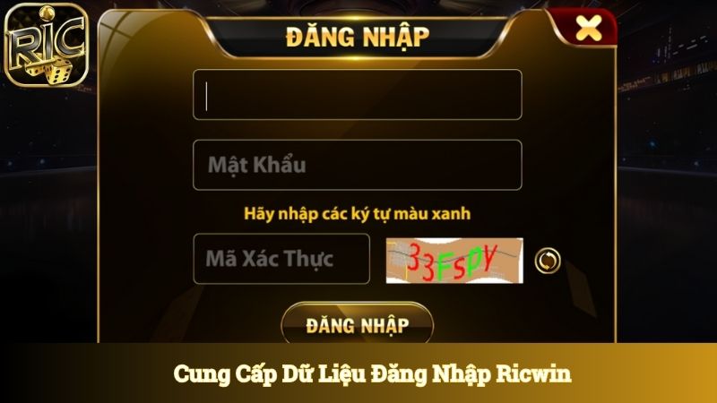 Biểu mẫu cùng thông tin cần cung cấp khi đăng nhập Ricwin