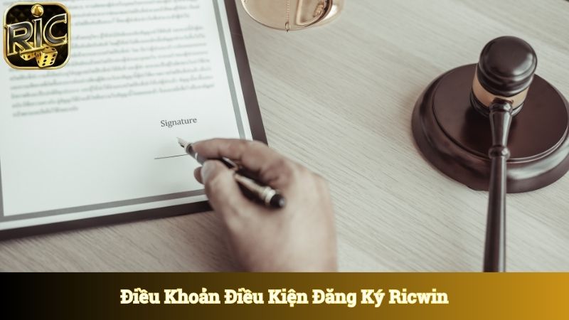 Điều khoản điều kiện đăng ký mới nhất đang được áp dụng