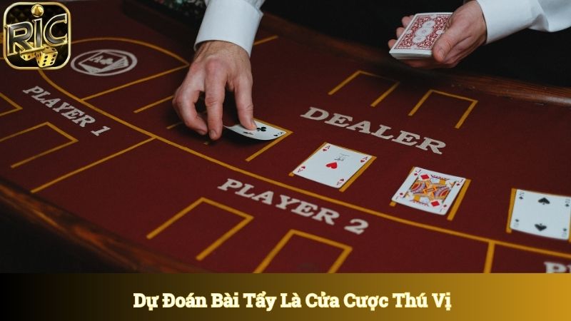 Dự đoán bài tẩy là cửa cược hấp dẫn