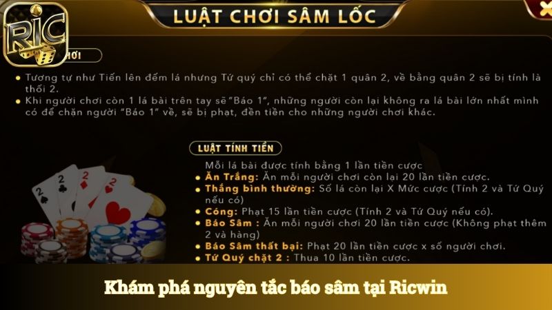 Khám phá nguyên tắc báo sâm với tiền thưởng lớn đang chờ đón 