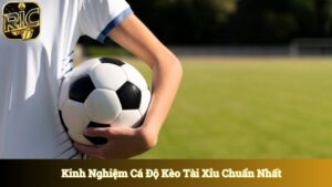 Kinh Nghiệm Cá Độ Kèo Tài Xỉu