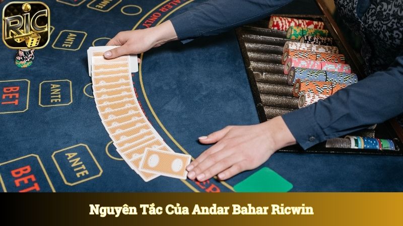 Nguyên tắc của andar bahar trong một ván cược