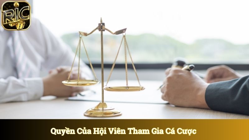 Quyền của hội viên liên quan đến tham gia cá cược 