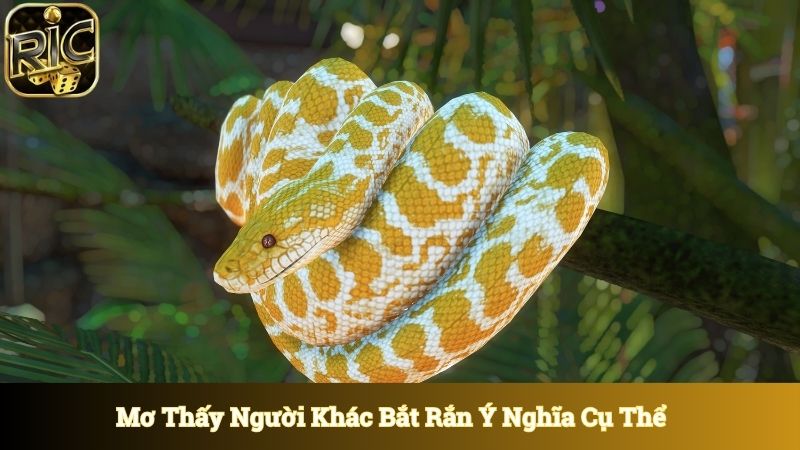 Mơ thấy người khác bắt được rắn ý nghĩa cụ thể