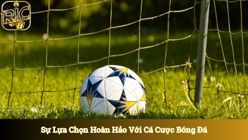 Sự lựa chọn hoàn hảo với cá cược bóng đá