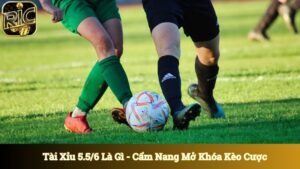Tài Xỉu 5.5/6 Là Gì