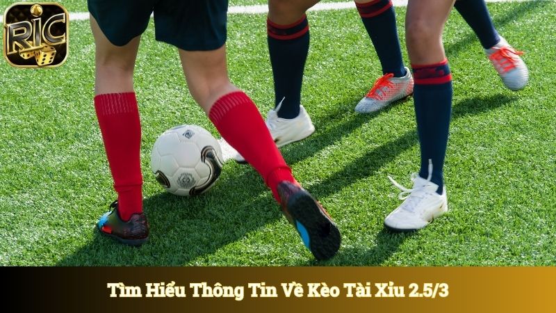 Tìm hiểu thông tin về kèo tài xỉu 2.5/3